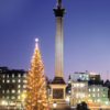 Christmas Cards - Image 4